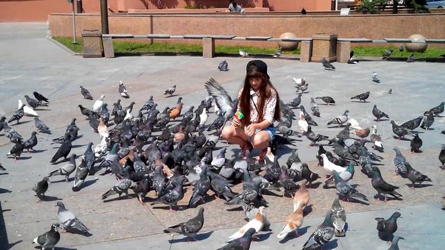 Тюмень 2014. Голуби смотреть онлайн