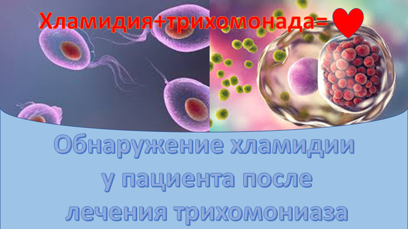 Обнаружение хламидии у пациента после лечения трихомомниаза смотреть онлайн