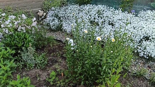 СтройЗагадки