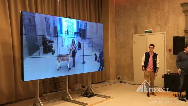 Компания Гефест Капитал предоставила в аренду активность "В мире животных" смотреть онлайн