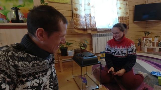 КУПИЛИ ДОСКИ И АКВАРИУМ ДЛЯ РЫБ смотреть онлайн