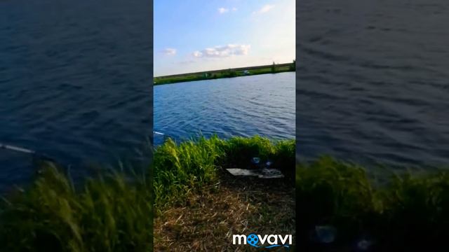 Рыбалка ловля толстолоба на технопланктон смотреть онлайн
