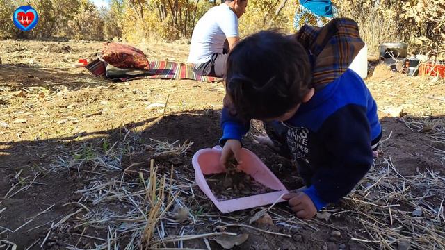 Autumn love in the forest: a romantic journey in the colorful forests of Zagros смотреть онлайн