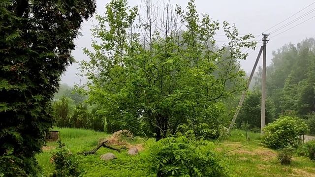 Суббота на даче. Поют птицы ?. смотреть онлайн