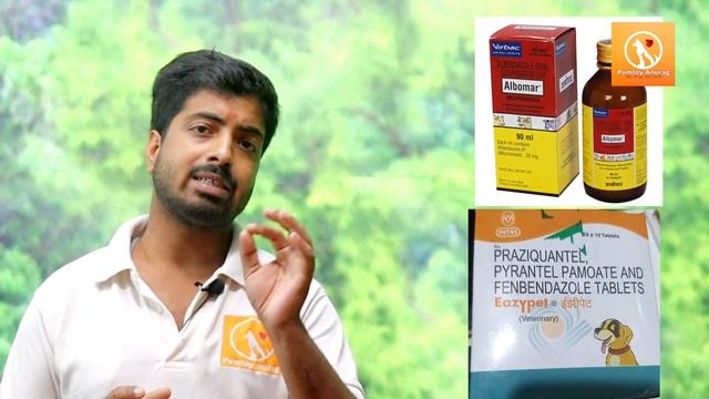 How to do 100% successful deworming in dog? смотреть онлайн