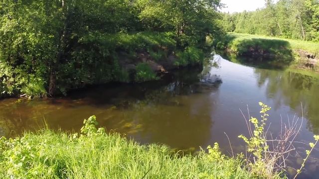 С кренком на малой реке. Ультралайтовый спиннинг. Ловля голавля. Видео отчет 19 июня 2017. смотреть онлайн