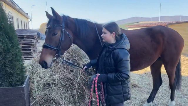 Конный клуб «Кабардинка» 🐎 смотреть онлайн