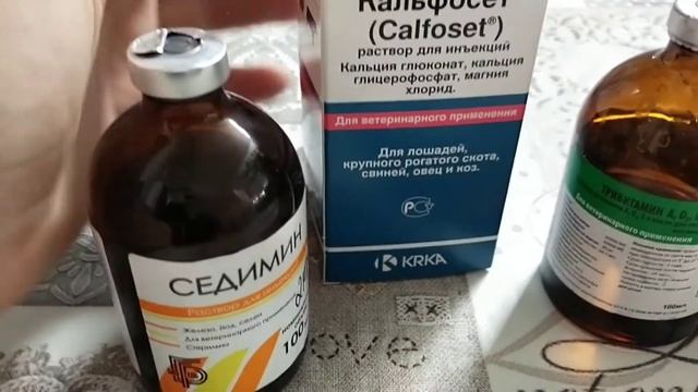 Коза родила // Что делать дальше??? // Необходимые препараты после окоза