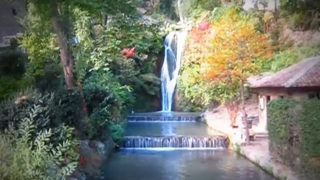 Экскурсия в Ботанический сад г. Балчик Болгария смотреть онлайн