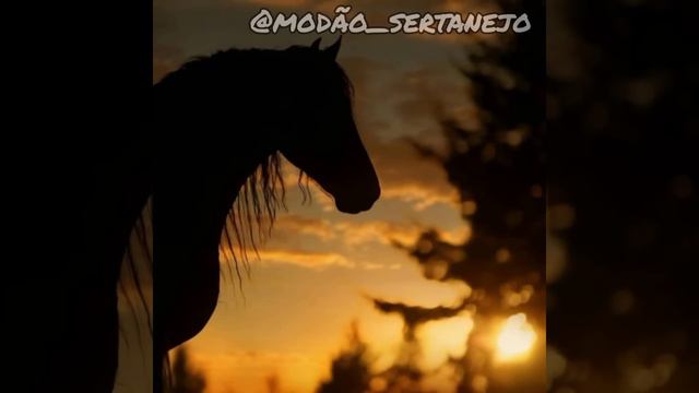 Chico Rey E Paraná - Saco De Estopa (LETRA)