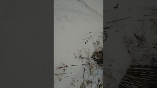 Honda CRF150RB Эпично шлёпнулся версия 2 смотреть онлайн