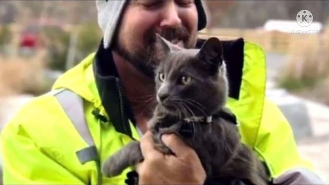 Обняв найденного кота, мужчина заплакал, как ребенок. Он уже и не верил, что вновь увидит питомца смотреть онлайн