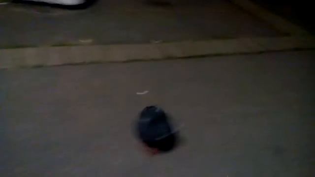 Странный голубь бегает по кругу смотреть онлайн