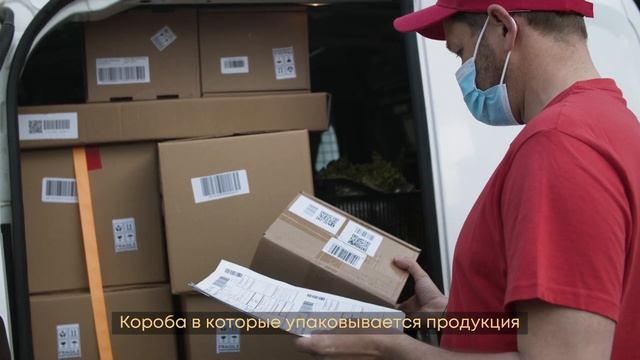 Упаковка для Wildberries смотреть онлайн