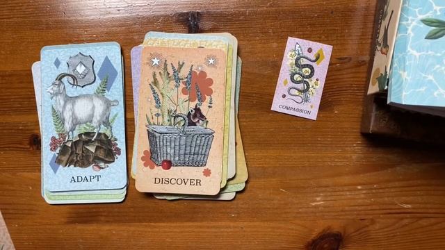 Costal Curiosities Oracle Deck (1st Edition) With 10 Card Expansion Pack! ✨ смотреть онлайн