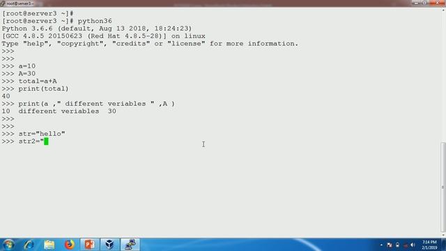 python variable introduction смотреть онлайн