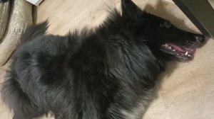 Грюнендаль в конце приступа эпилепсии