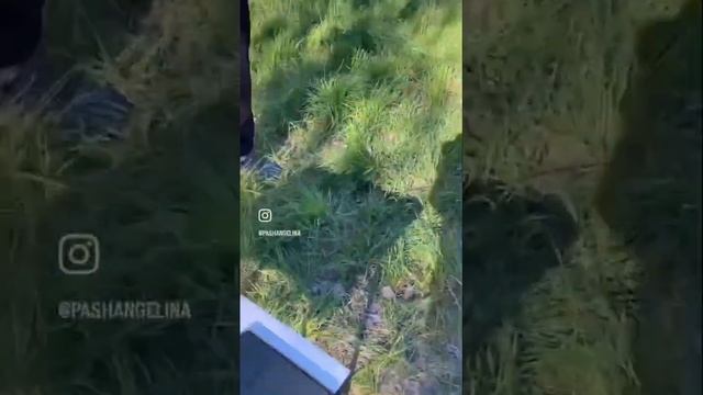 Пицца за 2 минуты! Печь на дровах для пиццы!? смотреть онлайн