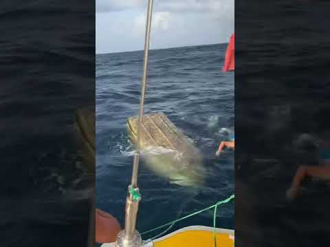 Лодка перевернулась на океанской волне смотреть онлайн