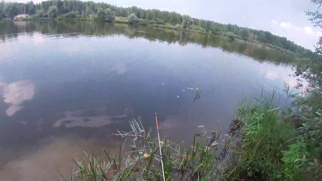 Ловля плотвы на фидер. Рыбалка плотвы летом 2021. смотреть онлайн