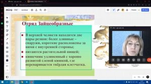 Многообразие млекопитающих
