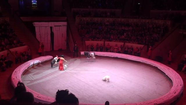 Circus, цирк на Фонтанке смотреть онлайн