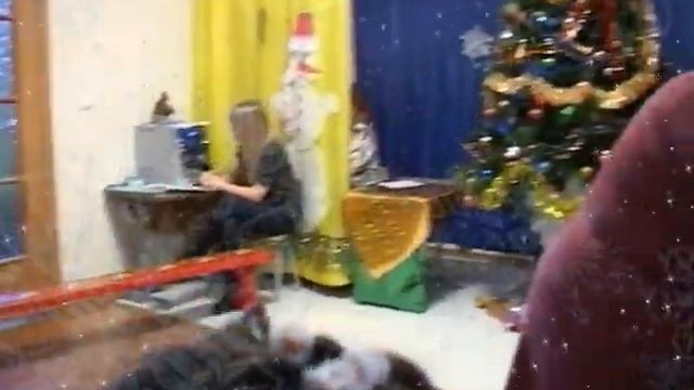 27 декабря 2008 года. Новогодний утренник в центре "Анастасия". Часть 1 смотреть онлайн