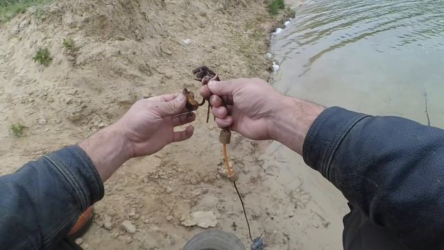 Насадка для ловли Сома. Выползок с подсадкой Медведки. Catfish. смотреть онлайн
