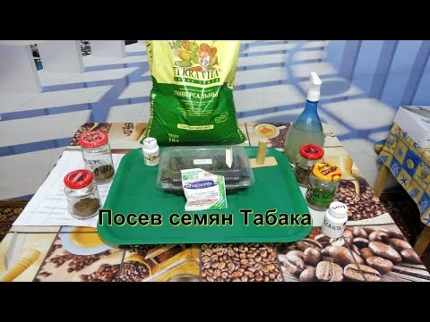 Посев семян Табака на рассаду . смотреть онлайн