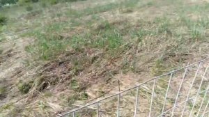 Забор своими руками из сварной оцинкованной сетки.