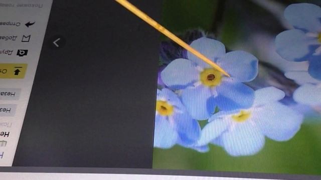 Незабудки из фоамирана/Как сделать молд незабудки/ Myosotis of foamiran/МК/DIY смотреть онлайн
