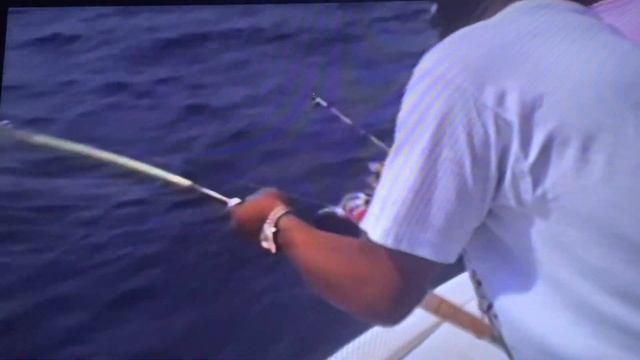 Bosch deep sea fishing 2 смотреть онлайн