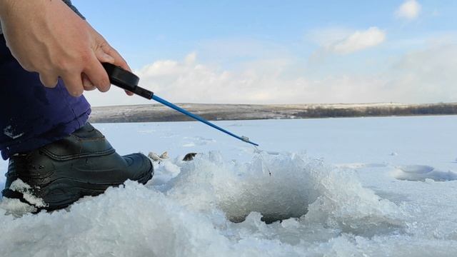 Крупная ПЛОТВА на мормышку / Зимняя рыбалка 2022 / Ловля окуня смотреть онлайн