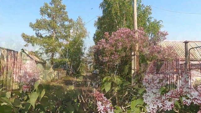 Костанай Сирень дачи смотреть онлайн