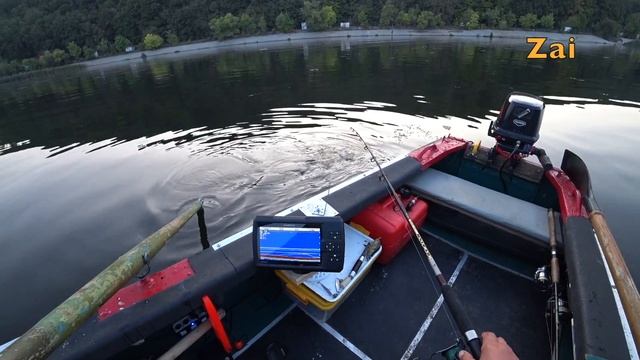 Сом на квок. Тестирую квоки.