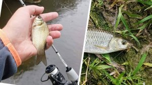 Серый Кардинал мормышинга, Mifine GHOST BLADE 0 2 0 6g