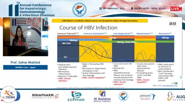 Prof. Sahar Maklad - Introduction to a case of HBV смотреть онлайн