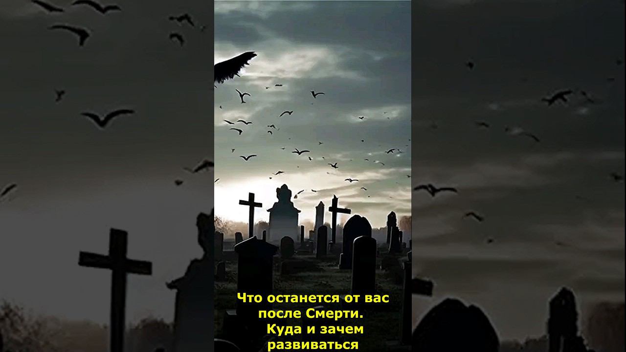 Что останется от вас после Смерти. Куда и зачем развиваться #смерть #послесмерти #зачем #мистика смотреть онлайн