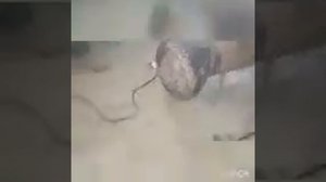 Тепловая дизельная пушка своими руками