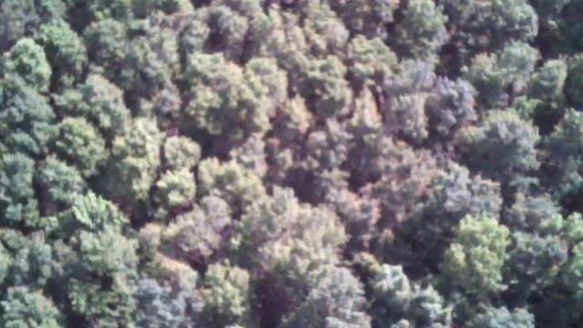 Летные места Татарстана. д. Биюрган. para2000org, paraplan.ru смотреть онлайн