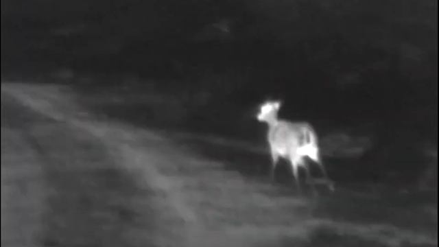 Deere Footage on Pulsar AXION XM30S Thermal Scope смотреть онлайн