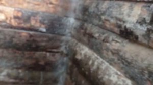 Зимовка кур без отопления в Сибири#