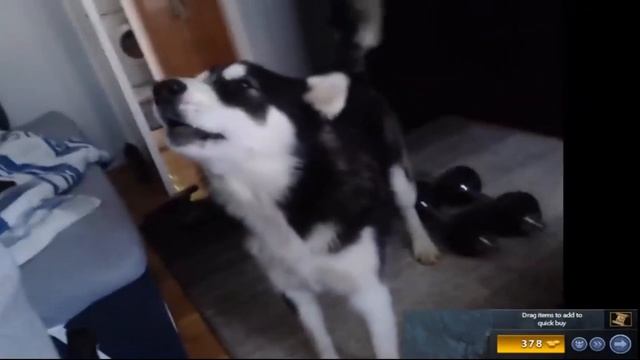 Это НАДО Видеть, ведь ОНА Забыла что ее СНИМАЕТ КАМЕРА смотреть онлайн