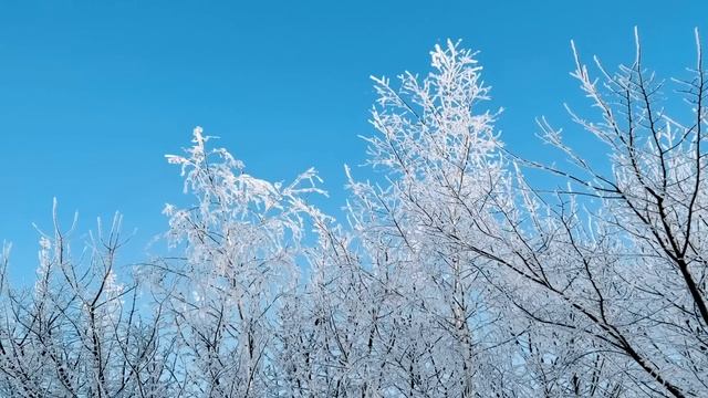 5 марта. ДЕНЬ ЛЬВА.Народные приметы. Запреты. Традиции смотреть онлайн