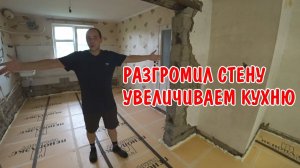 РЕМОНТ СТАРОГО ДОМА СВОИМИ РУКАМИ / ПРИЕХАЛИ ГОСТИ / ОБЕД В ДЕРЕВНЕ С МОЛОДОЙ КАРТОШКОЙ / ВЛОГ