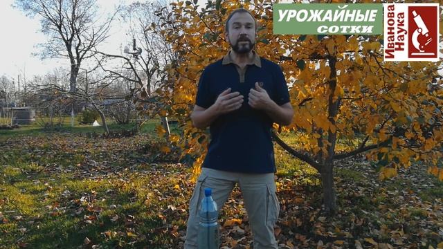 Опята - враги сада! Темная сторона мульчирования опилками, щепой и корой. смотреть онлайн