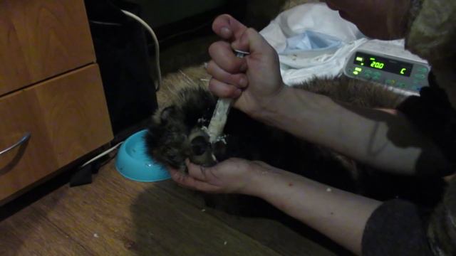 Бублик смотреть онлайн