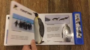 Звуки животных,животные полюсов,моя первая библиотека