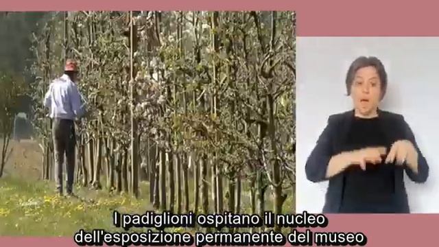Il Museo della Civiltà Contadina di Bentivoglio, Bologna смотреть онлайн