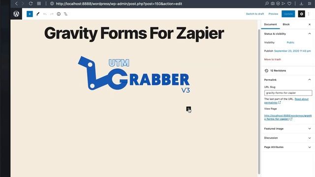 Gravity Forms to Zapier SIMPLE Integration via HandL UTM Grabber/Tracker for WordPress website смотреть онлайн